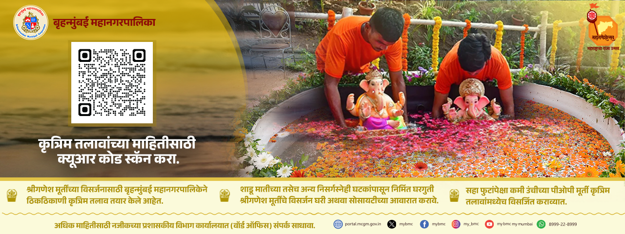 Ganesh Visarjan